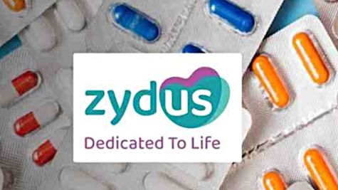 Zydus Lifesciences Q4 Results 2025: 23% YoY Net Profit Reported, Shares Drop 1.25% Post-Earnings Announcement