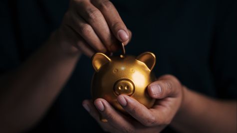 Unlock 8 FD Investment Benefits With The Wizely App