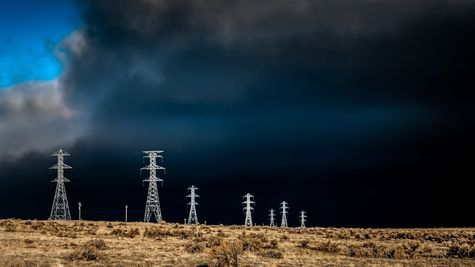 IEX Q1 Result: Profit Jumps 25% YoY To Rs 120 Cr, Stock Down 29% Post Market Coupling News