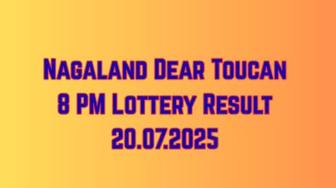 Nagaland Dear Toucan 8 PM Lottery Result Today 20.07.2025: Check Sunday's Rs. 1 Cr Lucky Draw Result Here