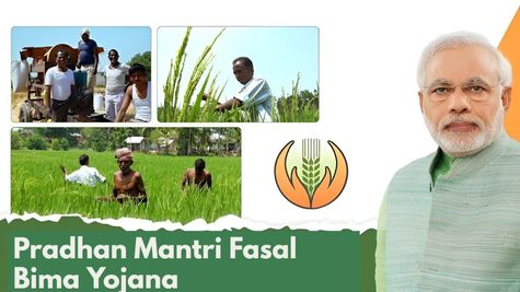 PMFBY Kharif 2025 Registration Begins in Lakhimpur Kheri: Check Last Date, Eligibility & Claim Process