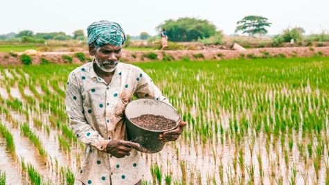 PM Kisan Instalment Date: Waiting for PM Kisan ₹2,000? Avoid These Common Mistakes!