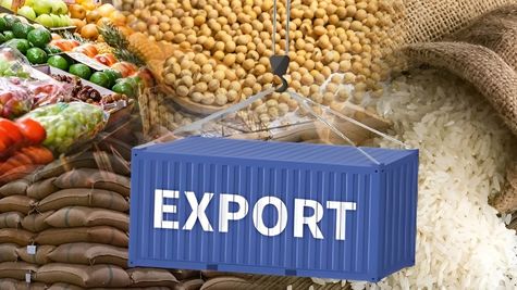 India's Rice Exports to Remain Resilient Despite 25 pc US Tariff: Exporters' Association