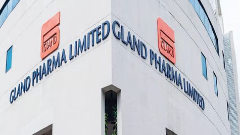 Gland Pharma Q1 Results: Net Profit Surges 50% YoY to Rs 215.4 Cr; Revenue Rises 7.4%, EBITDA Jumps 39%