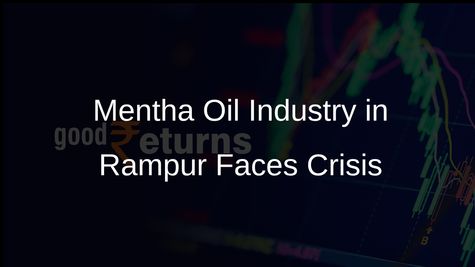US Tariff Impact: Mentha Oil Industry in Rampur Faces Severe Crisis