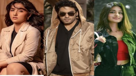 Bigg Boss 19 Contestants’ Net Worth: How Much Gaurav Khanna, Ashnoor Kaur, Tanya Mittal, Amaal & Others Earn?
