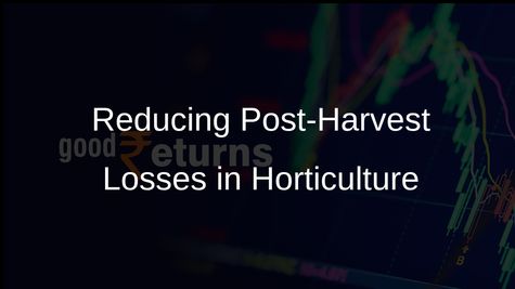Government Aims to Reduce Post-Harvest Losses in Horticulture to Below 5% by 2047