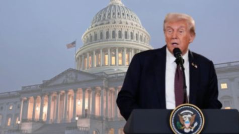 U.S. Travel Alert! The Hidden Crisis Behind The U.S. Flight Cuts: Why The U.S. Is Slashing Air Traffic By 10%?