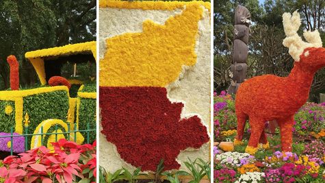 Bangalore Cubbon Park Flower Show 2025: Tickets, Timings, Key Dates And Other Things You Need To Know