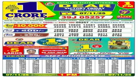 Nagaland Lottery Sambad Result Today: Check Dear MEGHNA Lottery Winning Numbers, Winners List for 7 November