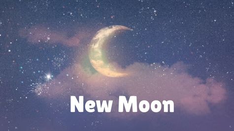 Paush Amavasya 2025: Date, Time, Shubh Muhurat, Panchang Tithi, Significance, Ritual of Pitru Puja in December