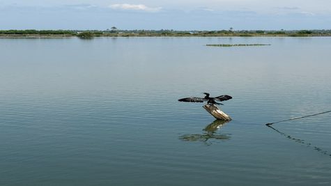 Anand Mahindra's visit in his Thar to Kadamakkudy, a Kerala village, makes happy ripples on X