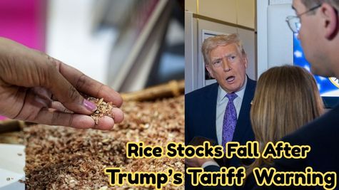 LT Foods Shares Crash 7% as Rice Stocks Tumble After Trump's Tariff Warning; KRBL, GRM Overseas Also Slip