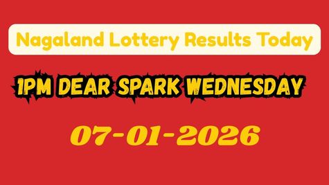 Nagaland State Lottery Sambad 1 PM Result OUT, Jan 7: Dear Spark Morning Draw; Check Rs. 1 Cr Winner