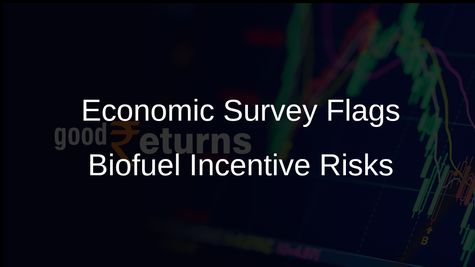 Economic Survey Warns of Risks from Biofuel Incentives on Cropping Patterns and Food Security