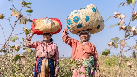 Ladki Bahin Yojana Update: When Will You Receive Instalment In Feb? Maha Dep. CM Makes BIG Announcement