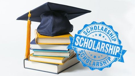 How To Get A Scholarship In India: A Step-By-Step Guide To National Scholarship Portal