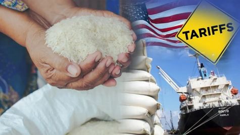 Indian rice exports gain momentum as US tariff cut to 18% improves demand and pricing power