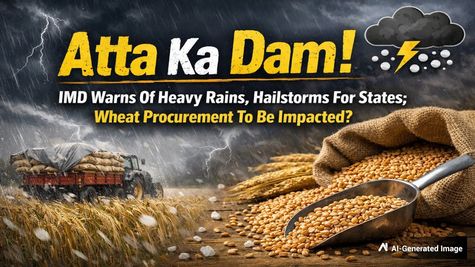 Atta Ka Dam! IMD Warns Of Heavy Rains, Hailstorms For States; Wheat Harvesting, Procurement To Be Impacted?