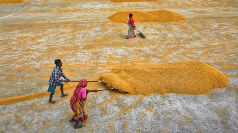PM Kisan Samman Nidhi Scheme: When Will Farmers Receive PM Kisan 23rd Instalment? Here’s What We Know So Far