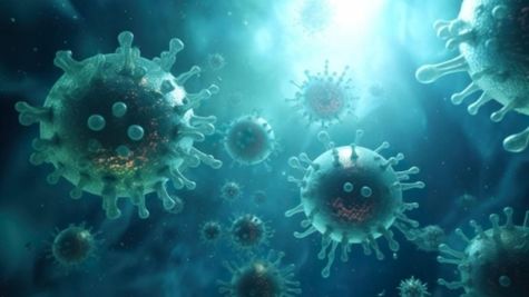 Ebola Outbreak: Travel Ban, Flight Suspensions, To  Airport; Key Restrictions Imposed By Countries