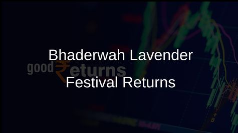 Bhaderwah Lavender Festival Marks Purple Revolution and Rural Startup Growth in Jammu and Kashmir