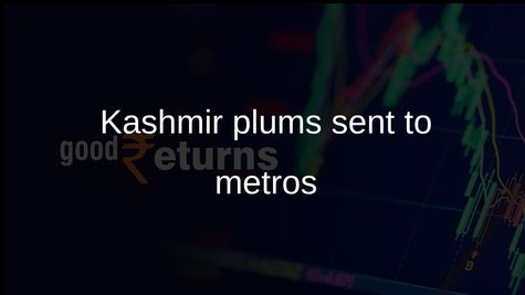 Kashmir plums shipped by Northern Railway parcel service to Chennai and Kolkata
