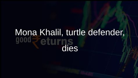 Lebanon sea turtle conservationist Mona Khalil dies after wounds from Israeli strike