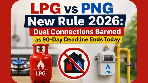 LPG vs PNG New Rule: Can You Keep Both Gas Connections After the 90-Day Deadline? Know the Details