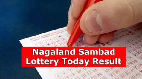 Nagaland Lottery Results Today (13-06-2026) LIVE: Check Dear 1PM, Dear 6PM, Dear 8PM Saturday Lottery Winners