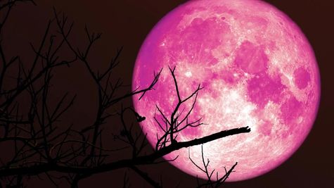 Strawberry Moon 2026 in India: When to Watch; Check Date, Moonrise Timings Location-wise & Tips for Best View
