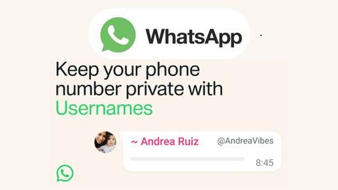 WhatsApp Username Feature: How To Reserve, Launch Date & Everything You Need To Know