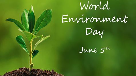 World Environment Day 2026: Top 50 Wishes, Slogans, Quotes, Messages, Captions & More to Share on June 5