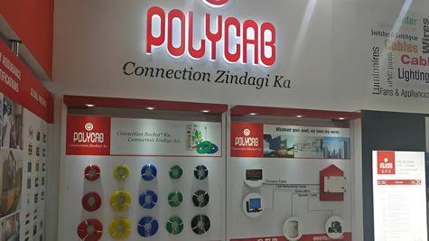 Polycab India Share Price Falls 4% Despite 33% Surge in Q1 Profit; What’s Spooking The Investors?