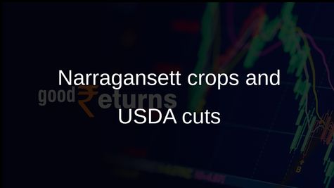 Narragansett heritage crops in Rhode Island face uncertainty as USDA programmes are scaled back