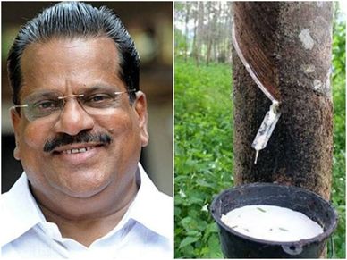 റബര്‍ മേഖലയ്ക്ക് പ്രതീക്ഷ; തളിപ്പറമ്പില്‍ റബര്‍ അധിഷ്ഠിത വ്യവസായം വരുന്നു, 500 പേര്‍ക്ക് ജോലി