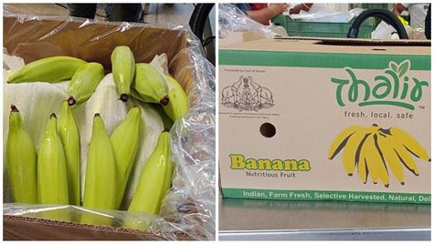 മാതൃകയായി കേരളം വീണ്ടും, കപ്പല്‍മാര്‍ഗ്ഗം നേന്ത്രപ്പഴം യൂറോപ്പിലേക്ക്, രാജ്യത്ത് തന്നെ ഇതാദ്യം