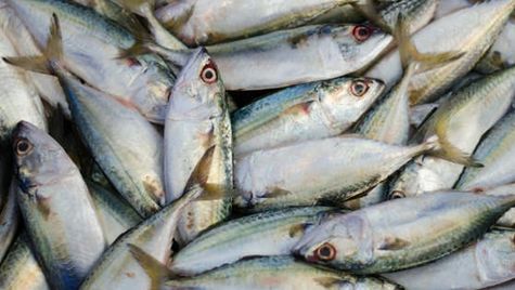 ലോക്ക് ഡൗണിലും ന്യായ വിലയില്‍ മീന്‍ വീട്ടു പടിക്കല്‍ എത്തും: ഹോം ഡെലിവറി ഒരുക്കി മത്സ്യഫെഡ്