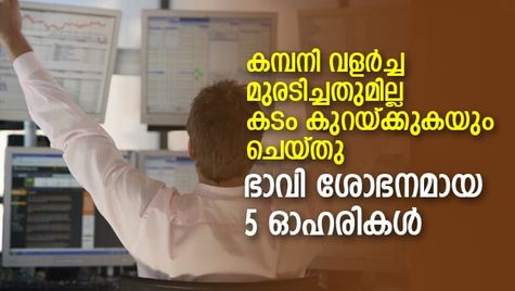 ഭാവി ശോഭനം! വരുമാനം വര്‍ധിപ്പിച്ച് കടബാധ്യത കുറയ്ക്കുന്ന 5 മികച്ച ഓഹരികള്‍; നോക്കുന്നോ?