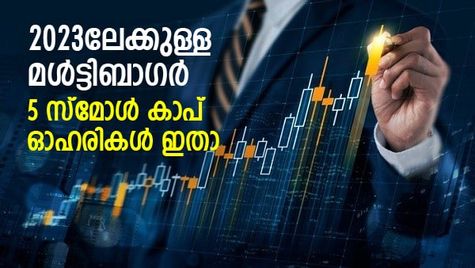 അടുത്ത വര്‍ഷം മള്‍ട്ടിബാഗറാകും; ഇപ്പോള്‍ പരിഗണിക്കാവുന്ന 5 സ്‌മോള്‍ കാപ് ഓഹരികള്‍