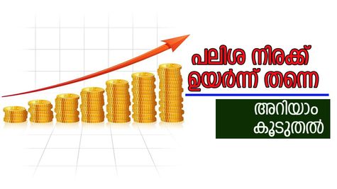 പലിശ നിരക്കിൽ മറ്റമില്ല; വായ്പ പ്രതീക്ഷകൾക്ക് തിരിച്ചടിയാകുമോ?