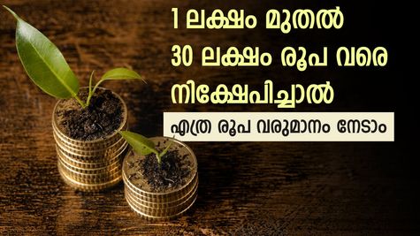 ഒറ്റത്തവണ നിക്ഷേപത്തിന് തയ്യാറാണോ? വിരമിക്കലിന് ശേഷം ത്രൈമാസ വരുമാനം നേടാൻ സർക്കാർ പദ്ധതി