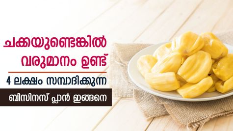 കയ്യിൽ ചക്കയുണ്ടെങ്കിൽ സമ്പാദിക്കാം; ഏക്കറിൽ നിന്ന് വർഷം 4 ലക്ഷം വരുമാനം; 78 കാരന്റെ ബിസിനസ് ഇങ്ങനെ
