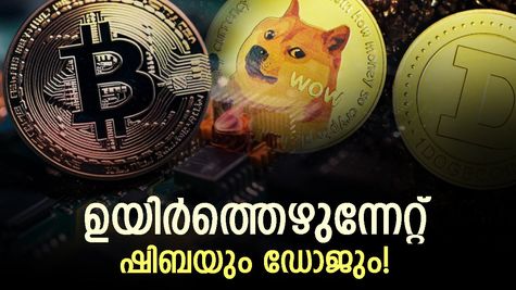 ക്രിപ്‌റ്റോ വസന്തം; ബിറ്റ്‌കോയിന്‍ റെക്കോര്‍ഡ് ഉയരത്തില്‍, ഒപ്പം കൂടാന്‍ ഷിബ, ഗാല, ഡോജ്‌കോയിനുകള്‍!