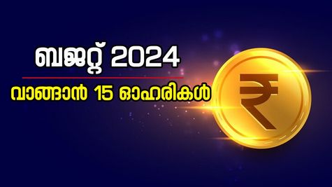 കേന്ദ്ര ബജറ്റ് നാളെ, വാങ്ങാൻ 15 ഓഹരികൾ, മുന്നേറ്റം പ്രവചിച്ച് ബ്രോക്കറേജുകൾ, വിശദമായി അറിയാം