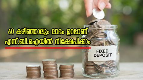 60 കഴിഞ്ഞാലും ലാഭം ഉറപ്പാണ്; എസ്.ബി.ഐ എഫ്.ഡിയിൽ 3 ലക്ഷം വരെ നിക്ഷേപിച്ചാൽ മികച്ച ലാഭം കിട്ടും