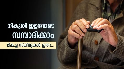 നികുതി ഇളവോടെ സമ്പാദിക്കാം; മുതിർന്ന പൗരൻമാർക്ക് നിക്ഷേപിക്കാവുന്ന മികച്ച സ്കീമുകൾ ഇതാ...