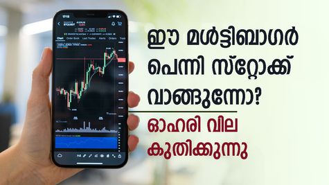 29 രൂപയിൽ നിന്ന് 382 രൂപയായി: ഈ മൾട്ടിബാഗർ പെന്നി സ്റ്റോക്ക് 2 വർഷം കൊണ്ട് 1100% ൽ അധികം ഉയർന്നു