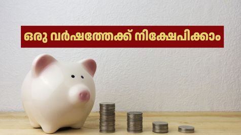 ഈ ജനപ്രിയ ബാങ്കുകൾ ഒരു വർഷത്തിനുള്ളിൽ നിങ്ങളുടെ സമ്പാദ്യം വളർത്തും, നിക്ഷേപിക്കുന്നുണ്ടോ?