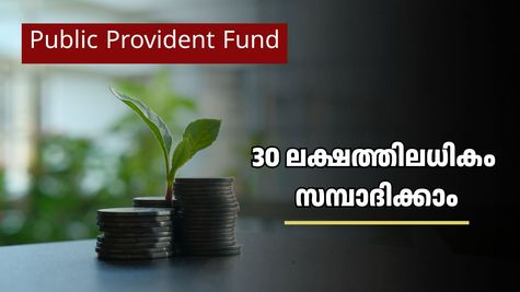 പ്രതിദിനം 200 രൂപ മാറ്റിവെച്ചാൽ മതി: പിപിഎഫ് വഴി 30 ലക്ഷം രൂപയിലധികം നേടാം; നിക്ഷേപിക്കേണ്ട രീതി ഇതാ